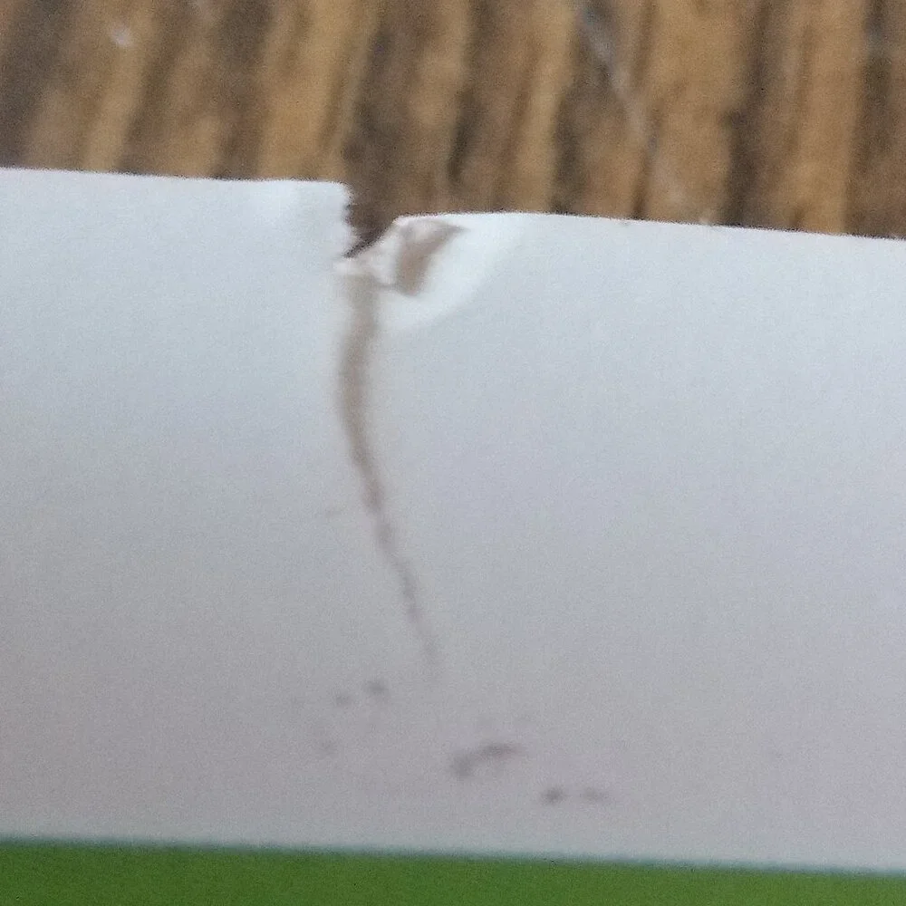 Microsoft user guide